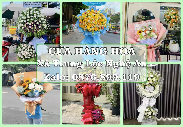 Shop hoa tươi tại Xã Trung Lộc Nghệ An – Tư vấn hoa và trái cây theo ngân sách · ảnh 1