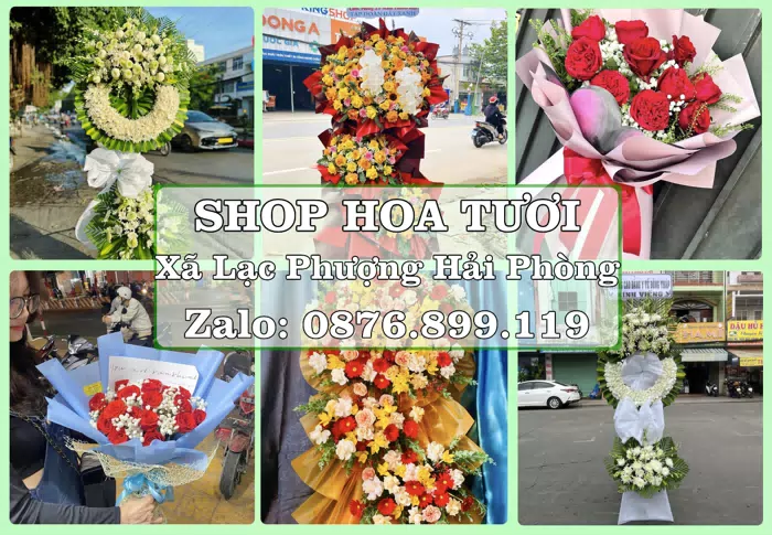 Shop hoa tươi tại Xã Lạc Phượng Hải Phòng – Từ bó hoa tặng đến giỏ trái cây biếu · ảnh 1