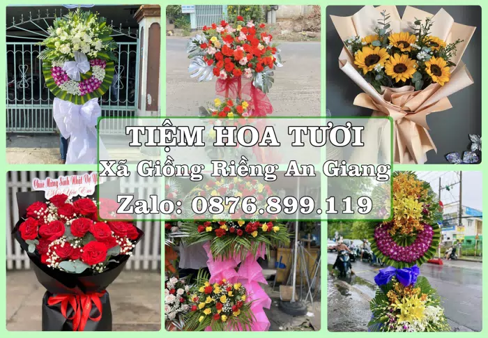 Shop hoa tươi tại Xã Giồng Riềng An Giang – Hoa tươi và trái cây, dễ chọn theo từng dịp · ảnh 1