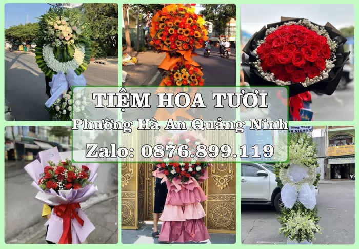 Shop hoa tươi tại Phường Hà An Quảng Ninh – Hoa chúc mừng, quà biếu theo nhu cầu · ảnh 1