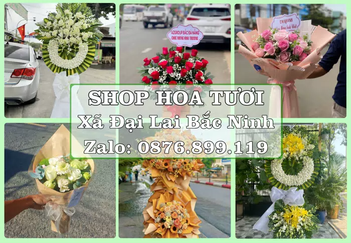 Shop hoa tươi tại Xã Đại Lai Bắc Ninh – Tư vấn hoa và trái cây theo ngân sách · ảnh 1