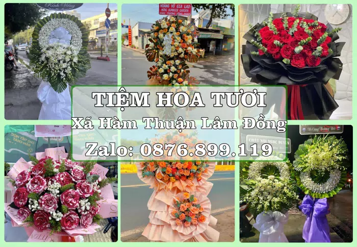 Shop hoa tươi tại Xã Hàm Thuận Lâm Đồng – Món quà chỉn chu từ những điều nhỏ · ảnh 1