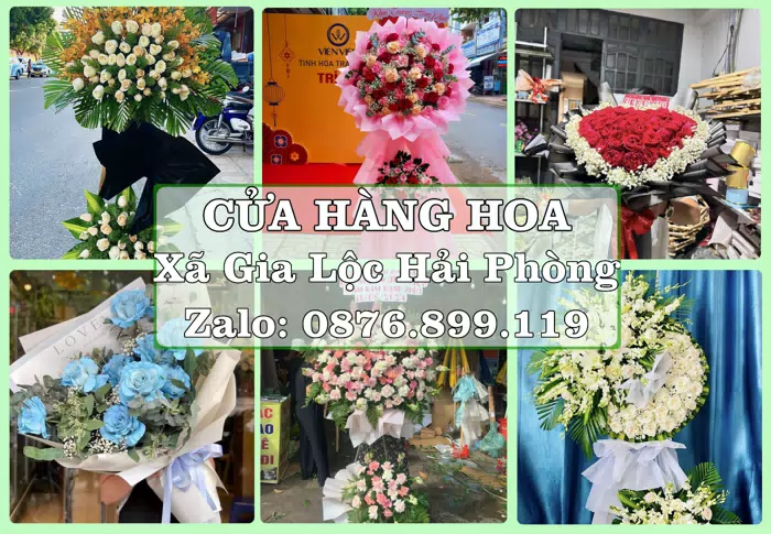 Shop hoa tươi tại Xã Gia Lộc Hải Phòng – Hoa xinh, trái cây cho những dịp gần gũi · ảnh 1