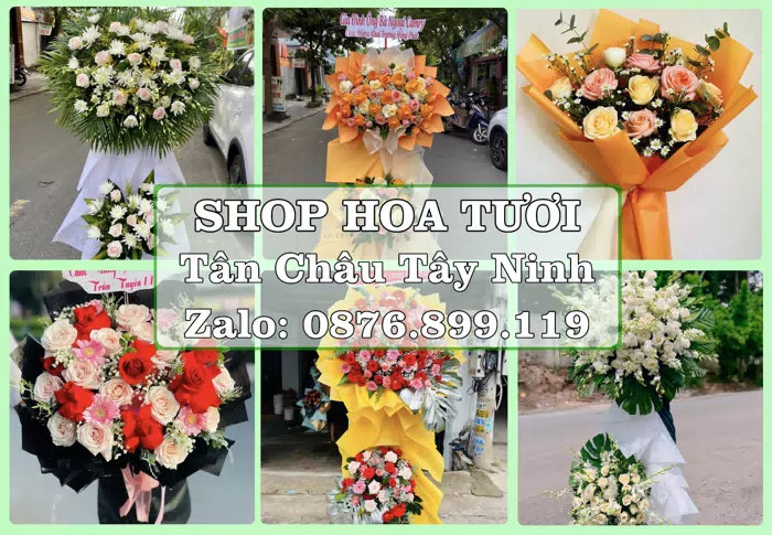Shop hoa tươi tại Tân Châu Tây Ninh – Hoa xinh, trái cây cho những dịp gần gũi · ảnh 1