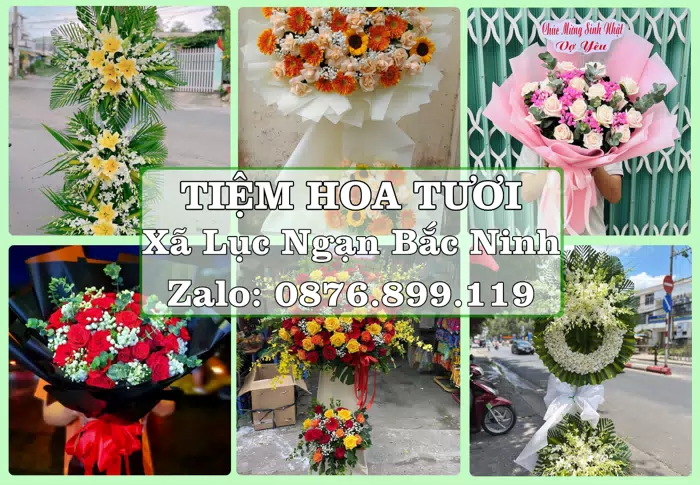 Shop hoa tươi tại Xã Lục Ngạn Bắc Ninh – Gửi lời quan tâm bằng hoa và trái cây · ảnh 1
