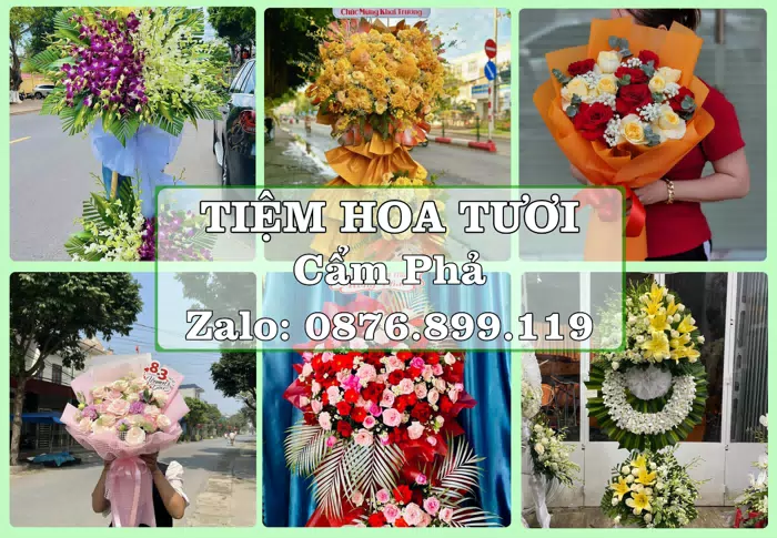 Shop hoa tươi tại Cẩm Phả – Hoa xinh, trái cây cho những dịp gần gũi · ảnh 1