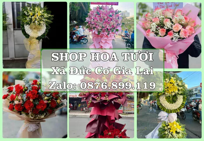 Shop hoa tươi tại Xã Đức Cơ Gia Lai – Tư vấn hoa và trái cây theo ngân sách · ảnh 1