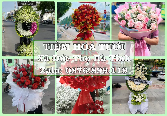 Shop hoa tươi tại Xã Đức Thọ Hà Tĩnh – Hoa xinh, trái cây cho những dịp gần gũi · ảnh 1