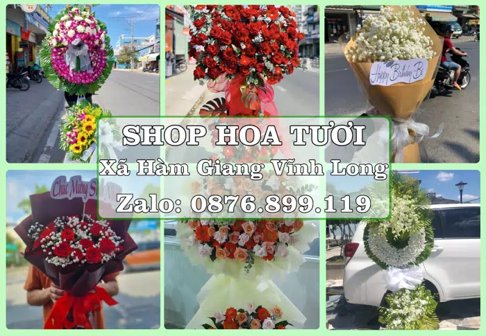 Shop hoa tươi tại Xã Hàm Giang Vĩnh Long – Tư vấn hoa và trái cây theo ngân sách · ảnh 1