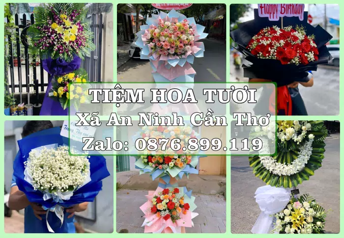 Shop hoa tươi tại Xã An Ninh Cần Thơ – Hoa xinh, trái cây cho những dịp gần gũi · ảnh 1