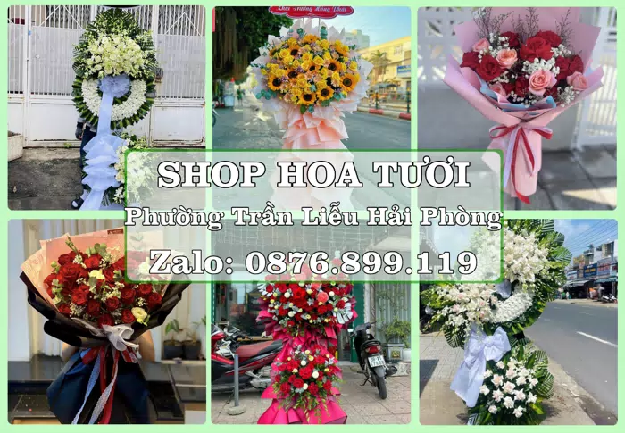 Shop hoa tươi tại Phường Trần Liễu Hải Phòng – Chọn hoa, chọn giỏ quà thật chu đáo · ảnh 1