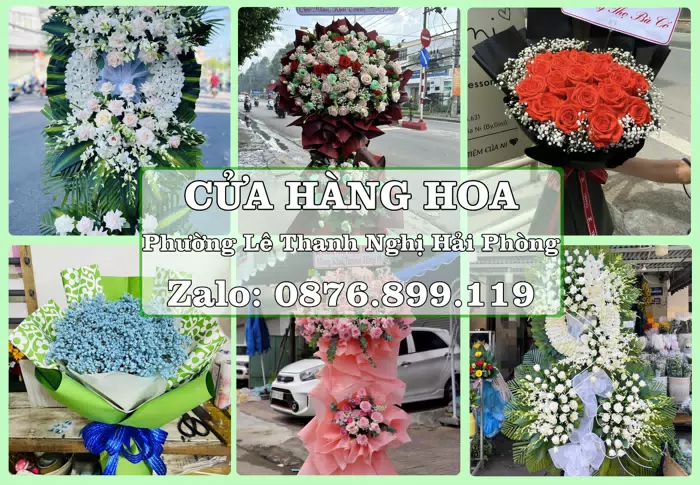 Shop hoa tươi tại Phường Lê Thanh Nghị Hải Phòng – Hoa tươi và trái cây, dễ chọn theo từng dịp · ảnh 1
