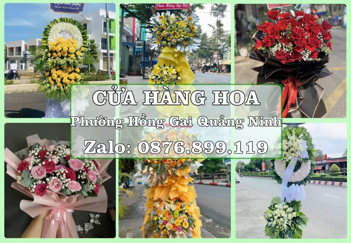 Shop hoa tươi tại Phường Hồng Gai Quảng Ninh – Tư vấn hoa và trái cây theo ngân sách · ảnh 1
