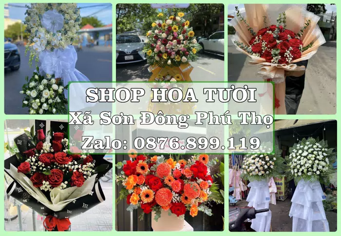 Shop hoa tươi tại Xã Sơn Đông Phú Thọ – Chọn hoa, chọn giỏ quà thật chu đáo · ảnh 1