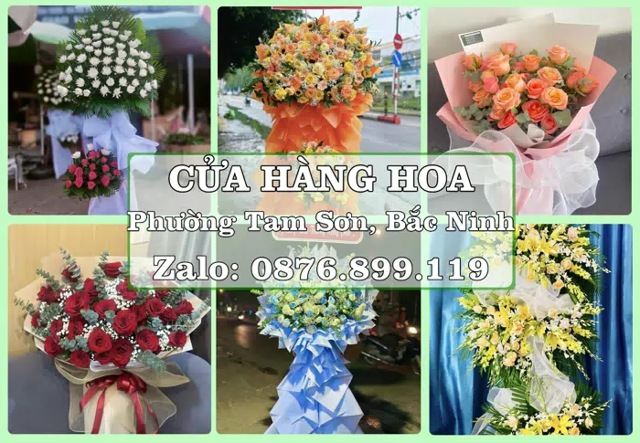 Shop hoa tươi tại Phường Tam Sơn, Bắc Ninh – Chọn hoa, chọn giỏ quà thật chu đáo · ảnh 1
