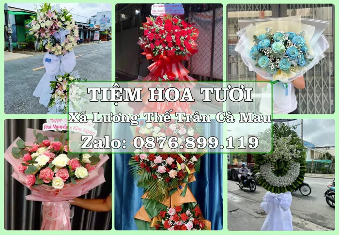 Shop hoa tươi tại Xã Lương Thế Trân Cà Mau – Hoa xinh, trái cây cho những dịp gần gũi · ảnh 1