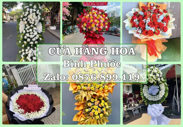 Shop hoa tươi tại Bình Phước – Tìm món quà hợp dịp, hợp người nhận · ảnh 1
