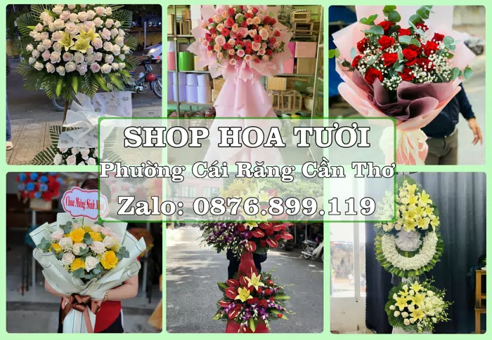 Shop hoa tươi tại Phường Cái Răng Cần Thơ – Gửi lời quan tâm bằng hoa và trái cây · ảnh 1