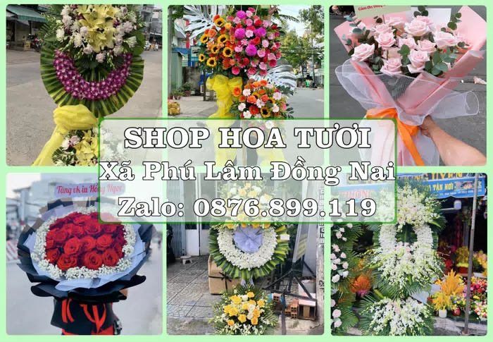 Shop hoa tươi tại Xã Phú Lâm Đồng Nai – Tư vấn hoa và trái cây theo ngân sách · ảnh 1