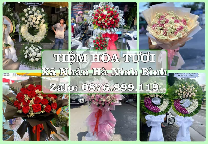 Shop hoa tươi tại Xã Nhân Hà Ninh Bình – Gửi lời quan tâm bằng hoa và trái cây · ảnh 1