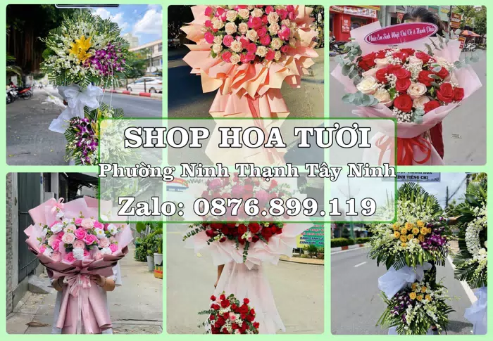 Shop hoa tươi tại Phường Ninh Thạnh Tây Ninh – Hoa chúc mừng, quà biếu theo nhu cầu · ảnh 1
