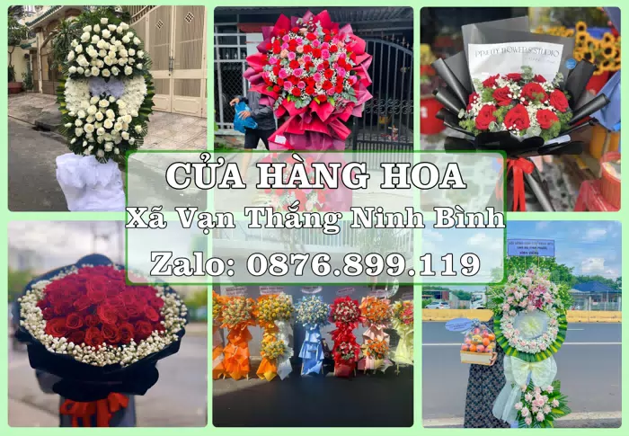 Shop hoa tươi tại Xã Vạn Thắng Ninh Bình – Hoa xinh, trái cây cho những dịp gần gũi · ảnh 1