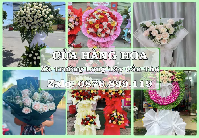 Shop hoa tươi tại Xã Trường Long Tây Cần Thơ – Tư vấn hoa và trái cây theo ngân sách · ảnh 1