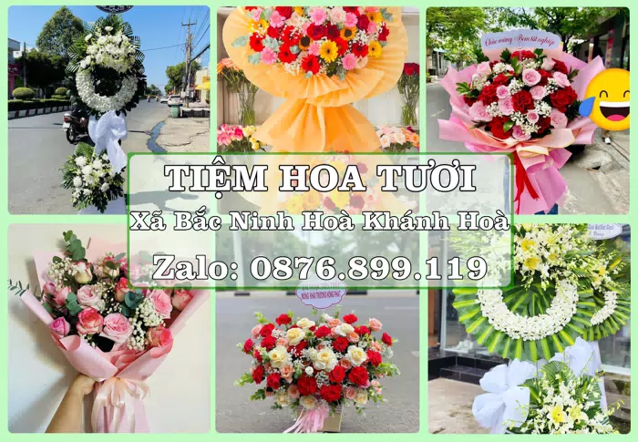 Shop hoa tươi tại Xã Bắc Ninh Hoà Khánh Hoà – Tư vấn hoa và trái cây theo ngân sách · ảnh 1