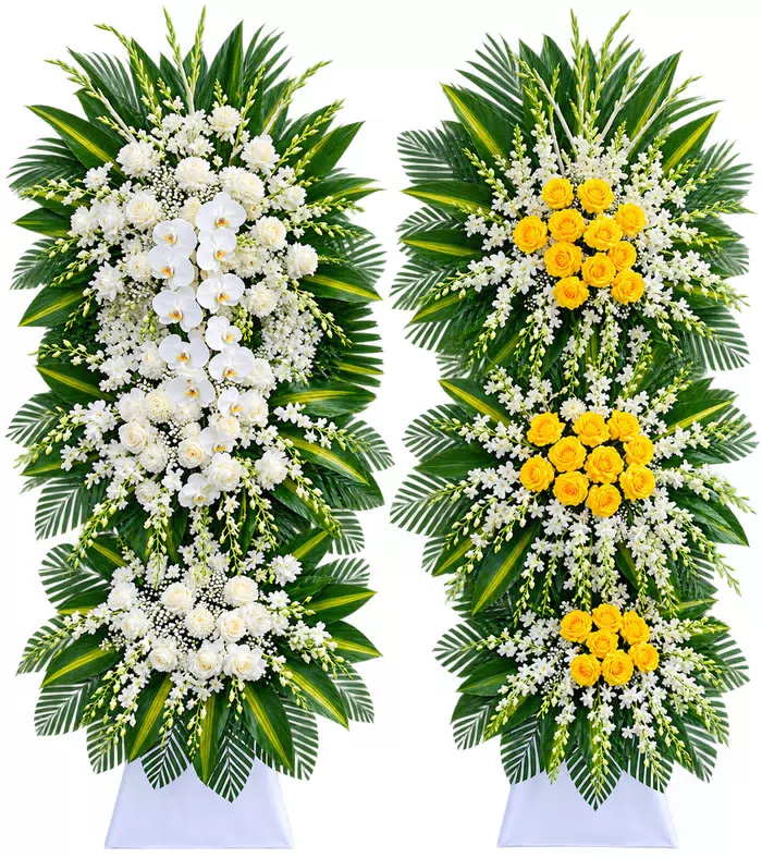 Nhớ Thương – kệ hoa phân ưu trắng vàng