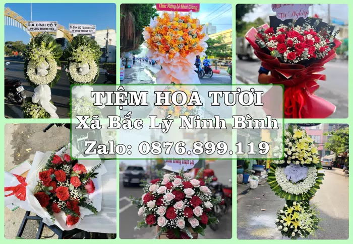 Shop hoa tươi tại Xã Bắc Lý Ninh Bình – Món quà chỉn chu từ những điều nhỏ · ảnh 1