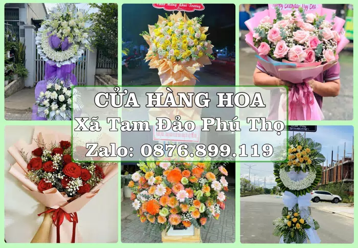 Shop hoa tươi tại Xã Tam Đảo Phú Thọ – Từ bó hoa tặng đến giỏ trái cây biếu · ảnh 1