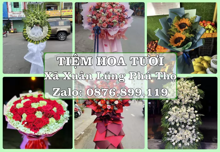 Shop hoa tươi tại Xã Xuân Lũng Phú Thọ – Hoa xinh, trái cây cho những dịp gần gũi · ảnh 1