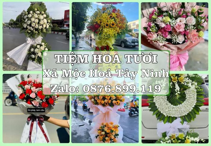 Shop hoa tươi tại Xã Mộc Hoá Tây Ninh – Tư vấn hoa và trái cây theo ngân sách · ảnh 1