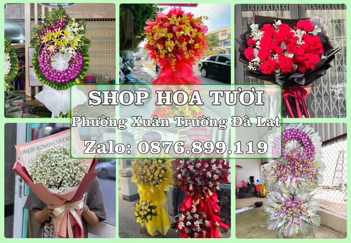 Shop hoa tươi tại Phường Xuân Trường Đà Lạt – Hoa xinh, trái cây cho những dịp gần gũi · ảnh 1