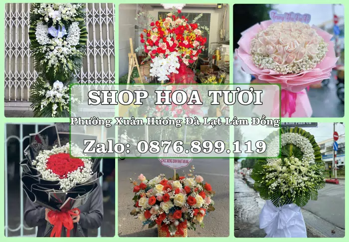 Shop hoa tươi tại Phường Xuân Hương Đà Lạt Lâm Đồng – Tìm món quà hợp dịp, hợp người nhận · ảnh 1