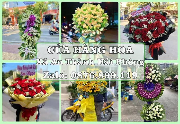 Shop hoa tươi tại Xã An Thành Hải Phòng – Tư vấn hoa và trái cây theo ngân sách · ảnh 1