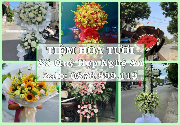 Shop hoa tươi tại Xã Quỳ Hợp Nghệ An – Món quà chỉn chu từ những điều nhỏ · ảnh 1