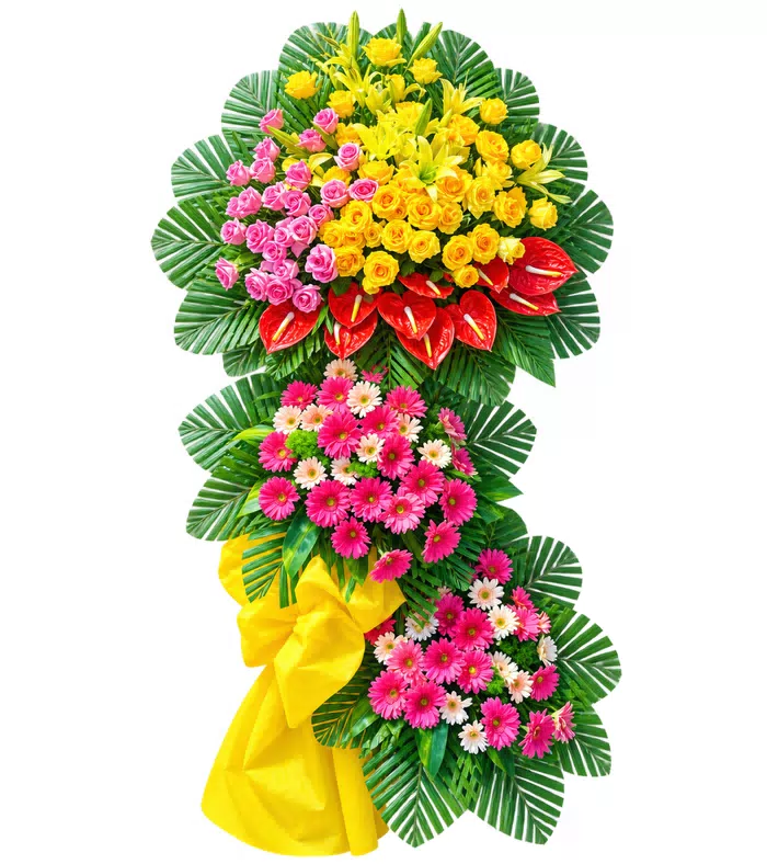 Hân Hoan – kệ hoa chúc mừng vàng hồng ba cụm