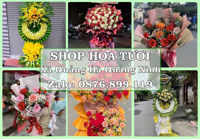 Shop hoa tươi tại Xã Quảng Hà Quảng Ninh – Chọn hoa, chọn giỏ quà thật chu đáo · ảnh 1