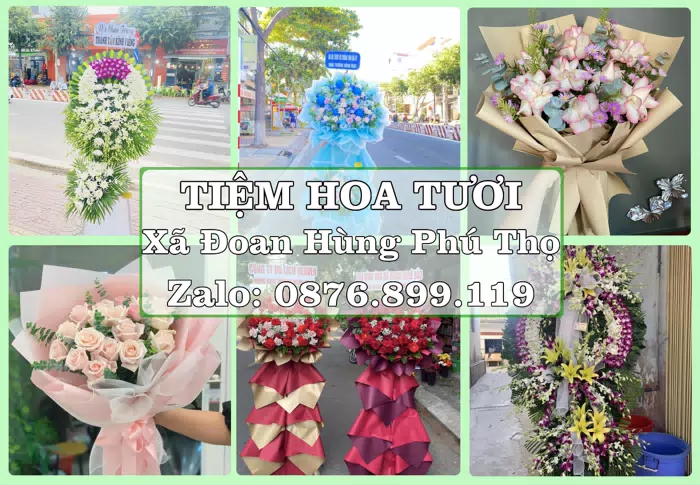 Shop hoa tươi tại Xã Đoan Hùng Phú Thọ – Từ bó hoa tặng đến giỏ trái cây biếu · ảnh 1