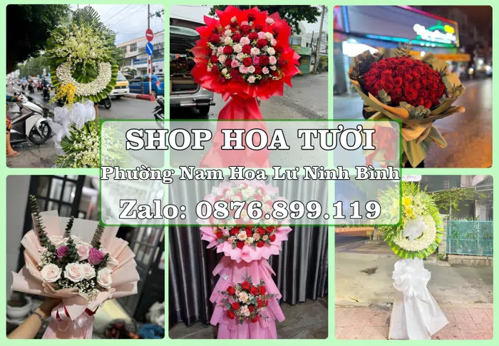 Shop hoa tươi tại Phường Nam Hoa Lư Ninh Bình – Hoa chúc mừng, quà biếu theo nhu cầu · ảnh 1