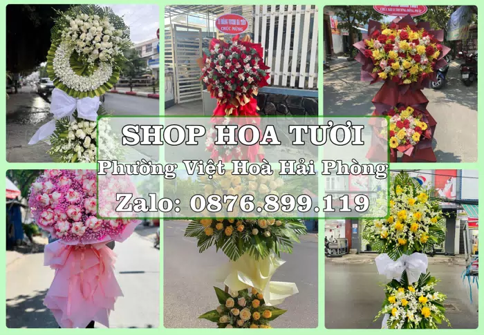 Shop hoa tươi tại Phường Việt Hoà Hải Phòng – Đặt quà gửi người thân từ xa · ảnh 1