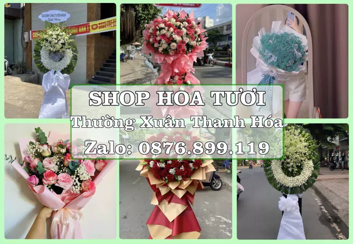 Shop hoa tươi tại Thường Xuân Thanh Hóa – Gửi lời quan tâm bằng hoa và trái cây · ảnh 1