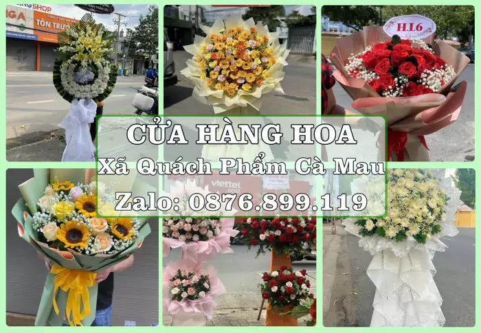 Shop hoa tươi tại Xã Quách Phẩm Cà Mau – Hoa tươi và trái cây, dễ chọn theo từng dịp · ảnh 1