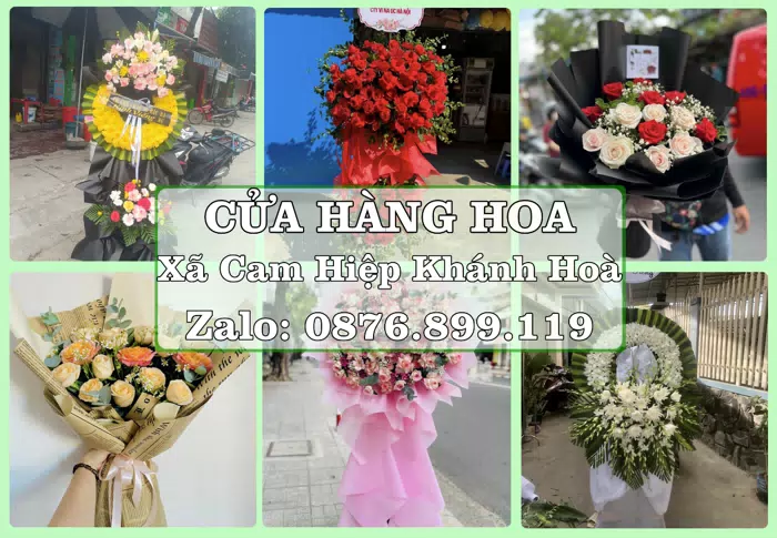 Shop hoa tươi tại Xã Cam Hiệp Khánh Hoà – Từ bó hoa tặng đến giỏ trái cây biếu · ảnh 1