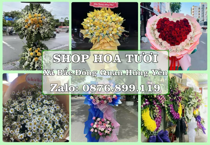Shop hoa tươi tại Xã Bắc Đông Quan Hưng Yên – Hoa chúc mừng, quà biếu theo nhu cầu · ảnh 1