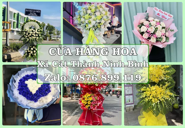 Shop hoa tươi tại Xã Cát Thành Ninh Bình – Tư vấn hoa và trái cây theo ngân sách · ảnh 1
