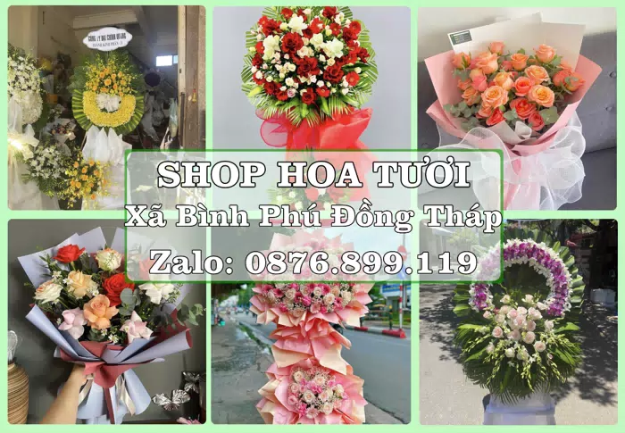Shop hoa tươi tại Xã Bình Phú Đồng Tháp – Tư vấn hoa và trái cây theo ngân sách · ảnh 1