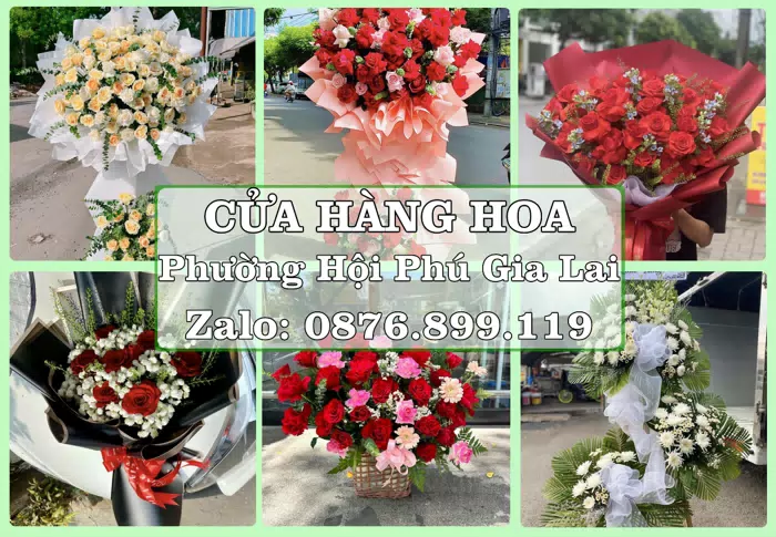 Shop hoa tươi tại Phường Hội Phú Gia Lai – Tư vấn hoa và trái cây theo ngân sách · ảnh 1