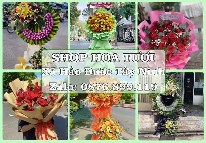 Shop hoa tươi tại Xã Hảo Đước Tây Ninh – Hoa tươi và trái cây, dễ chọn theo từng dịp · ảnh 1